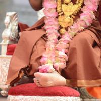 20170205_Photo_1077_DSC_9046_CMP_WM